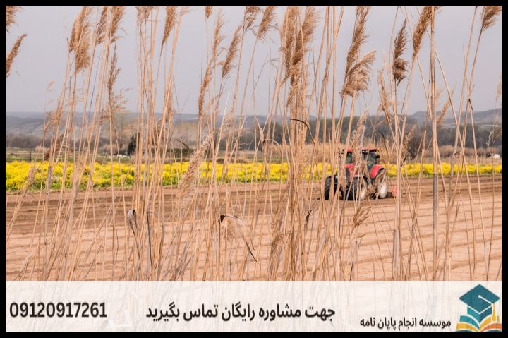 انجام پروپوزال رشته جغرافیا توسعه اقتصاد روستایی — تصویر 3