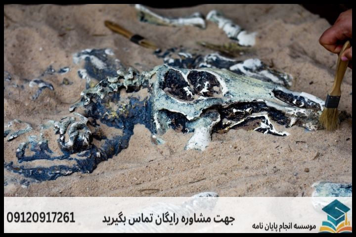 انجام پروپوزال رشته باستان شناسی پیش از تاریخ ایران — تصویر 3