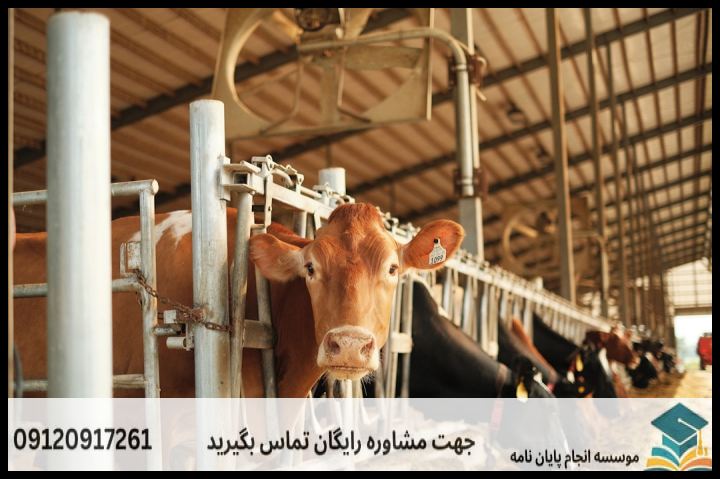 موضوع جدید پایان نامه رشته علوم دامی ژنتیک و اصلاح دام + عناوین و موضوعات به روز کارشناسی ارشد — تصویر 2